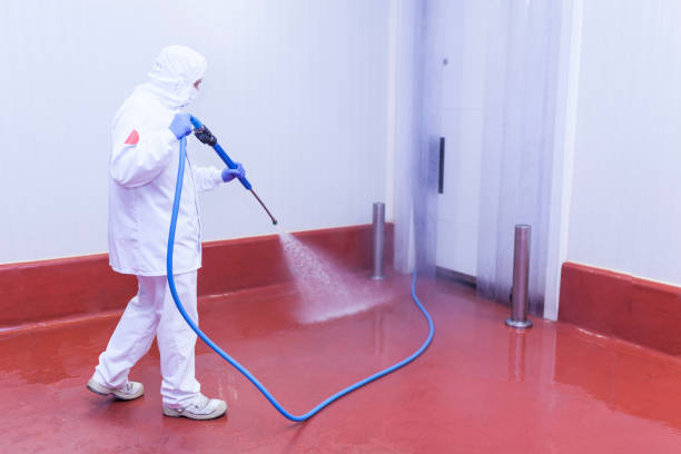 Best Sidewalk and Walkway Cleaning  in Sewaren, NJ